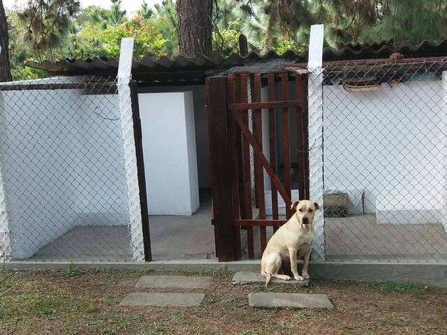 #23 - Chácara para Venda em Santana de Parnaíba - SP - 3