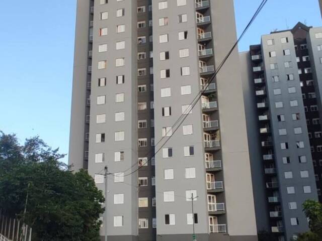 Apartamento para Locação em Osasco - 5